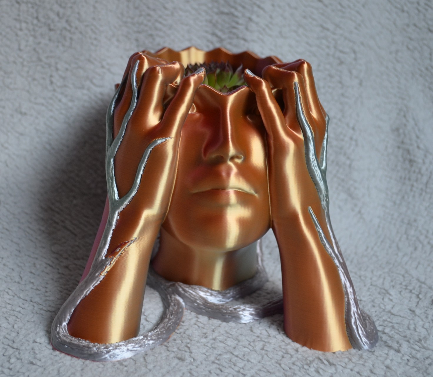 Galeriebild
